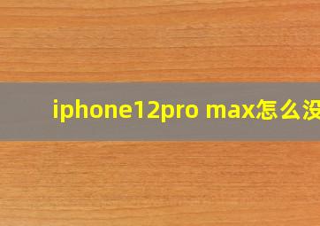 iphone12pro max怎么没货